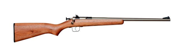 Elegant bolt-action rifle with polished barrel and wooden stock for precision shooting and comfort.