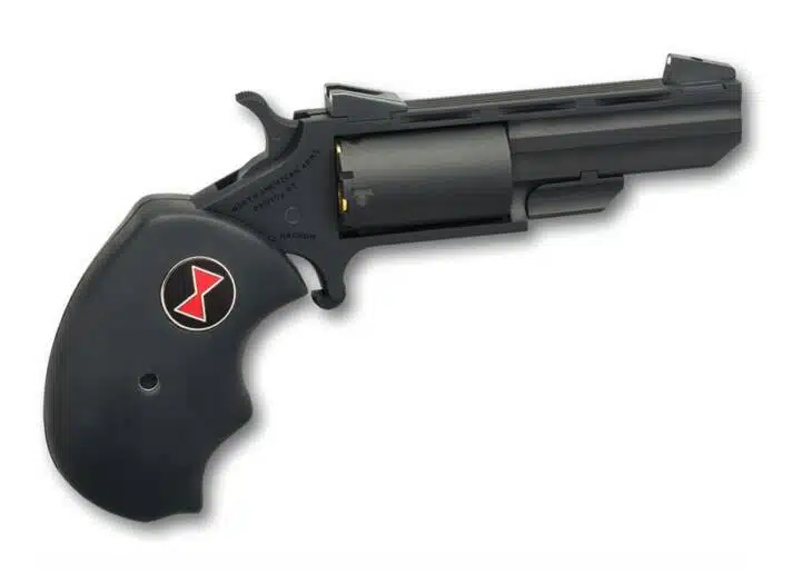 Sleek black compact revolver with ergonomic grip, dual action, ideal for defense and collection.