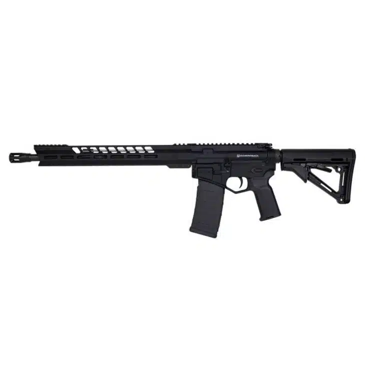 Modular DB15 Rifle: Sleek design, customizable features, ideal for accuracy in sport shooting and tactical use.
