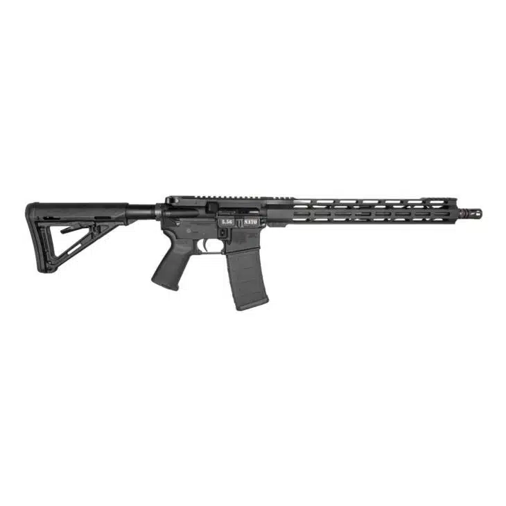 Versatile modern semi-automatic rifle with adjustable stock, ergonomic grip, and tactical rail system.