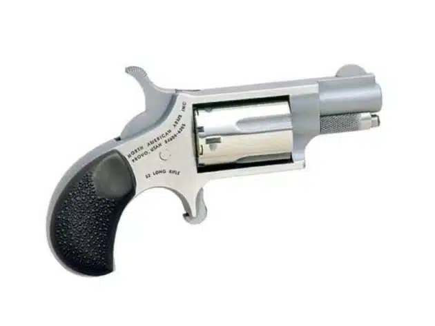 Sleek NAA .22LR silver pocket revolver, compact design for reliable self-defense and easy concealment.