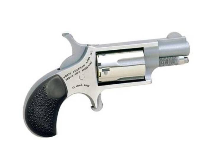Sleek NAA .22LR silver pocket revolver, compact design for reliable self-defense and easy concealment.
