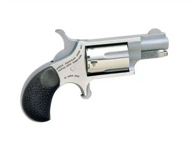 Sleek NAA .22LR silver pocket revolver, compact design for reliable self-defense and easy concealment.