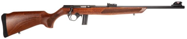 Rossi RB22 .22 LR Bolt-Action Rifle with elegant wooden stock for precision hunting and target shooting.