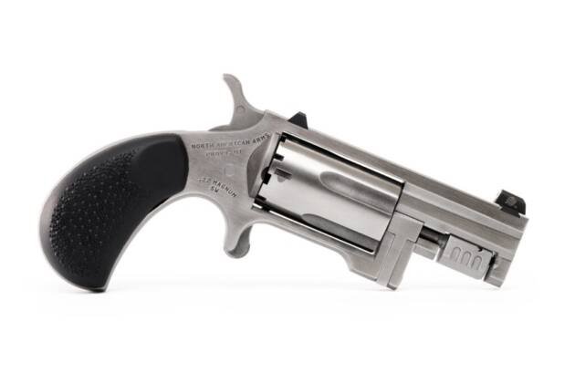 Sleek Sentinel silver revolver with six chambers and ergonomic textured grip for defense or collection.