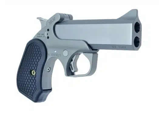 Sleek silver-gray semi-automatic handgun with ergonomic grip, adjustable sights, and accessory rail.