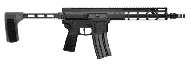 Versatile modern AR-style rifle with adjustable stock, modular handguard, and high-capacity magazine.